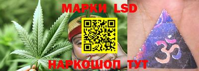 ALPHA PVP Гай
