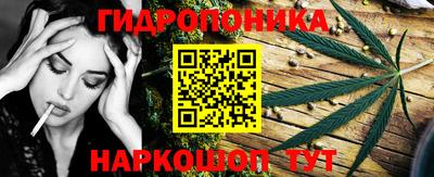 не бодяженный Гатчина